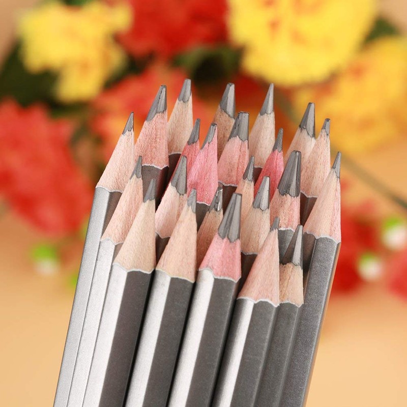 Walfront Drawing Pencils, 24 Pieces, 9H-14B Sketching and Drawing Pencils,