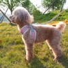 VOOPET Puppy Harness Easy to Put On & Take Off