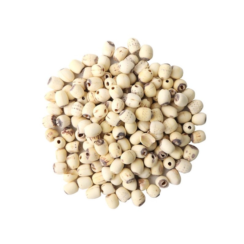 Donguihanjae 동의한재 껍질깐 연자육 연꽃씨 1kg 1kg Peeled Lotus Seeds