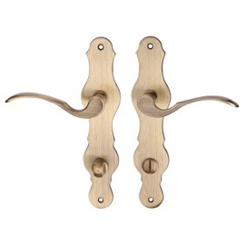 Gedotec Door Handle Room Door | 1 Pair Long Plate Set Vintage Door Fitting Antique Burnished Brass - Spoon | Toilet - Toilet | Door Handle for Interior Doors | Design Door Set Including Mounting