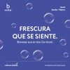 B Water - Bcool Daily Tabletas Efervescentes Rehidratantes | Tabletas