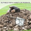 Qualirey 8 Pack Mole Gopher Trap Ground Galvanized and Oil