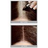 Cover Your Gray Barra de retoque de color de cabello