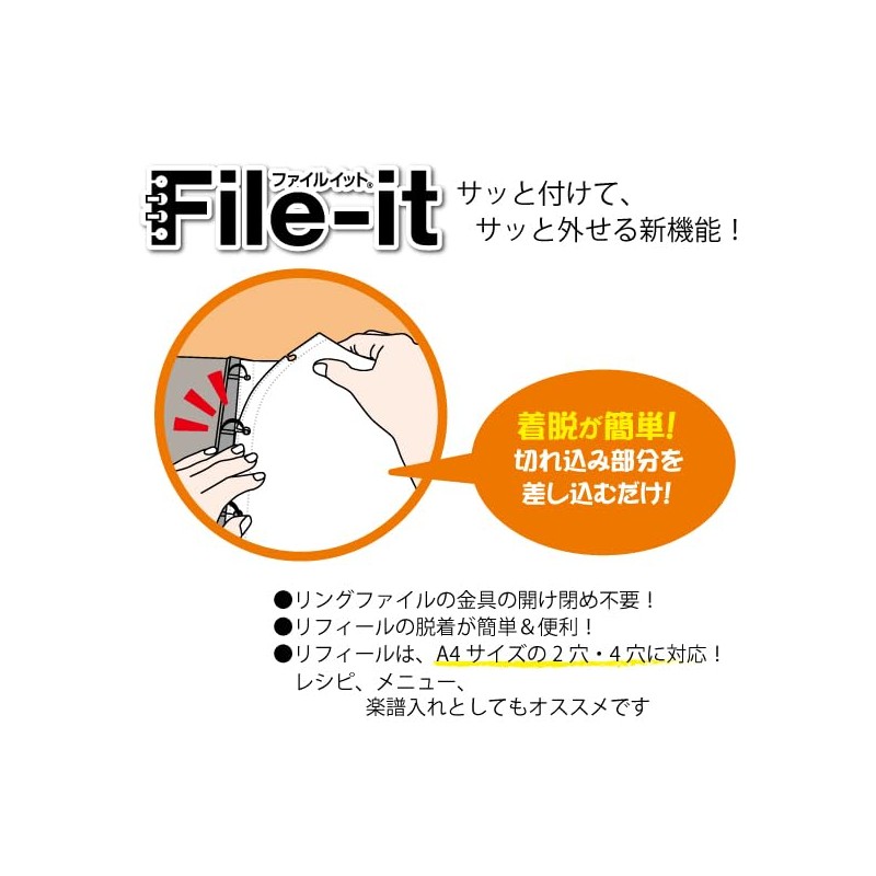 te-zi- fairuittorifi-ru Fir – 418 A4 4 Hole, 10P