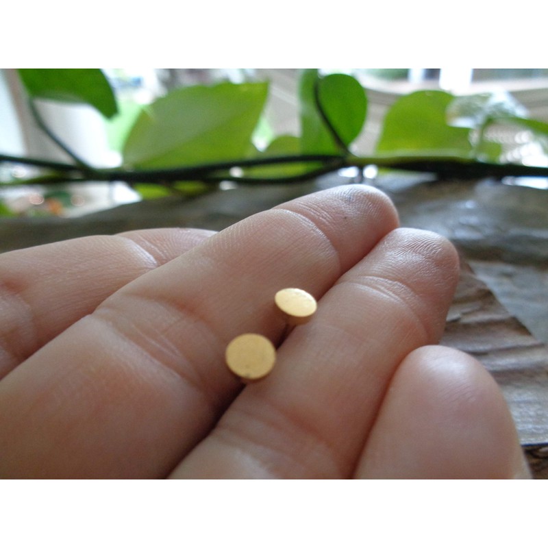 Gold dot stud stainless steel round, golden earrings, anti-allergic