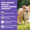 Wellix 7.05 oz Lysine Powder for Cats & Dogs, Immune