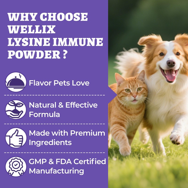 Wellix 7.05 oz Lysine Powder for Cats & Dogs, Immune