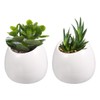 WINOMO 2 pieces ceramic wall flower pots, hanging planter, flower