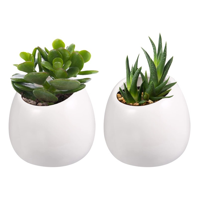 WINOMO 2 pieces ceramic wall flower pots, hanging planter, flower