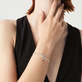 URONE Cardinal Charm Beads Suitable for Charm Bracelets for Women 925 Sterling Silver Red Cardinal Bird Dangle Pendant Bead Jewellery Gifts for Women Bracelet and Necklace, Sterling Silver, No