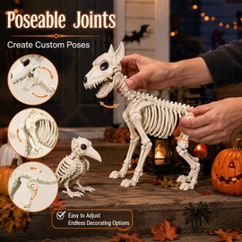 Poseable Animal Skeleton Set for Halloween Decor – Realistic Dog, Crow & Frog Props for Indoor Outdoor Displays