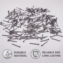 (Pack of 800) Carbon Steel 1/16" x 1" (1.6 x 25 mm) Construction Nails Flat Round Head Multi-Purpose Common Wire Nails Woodworking