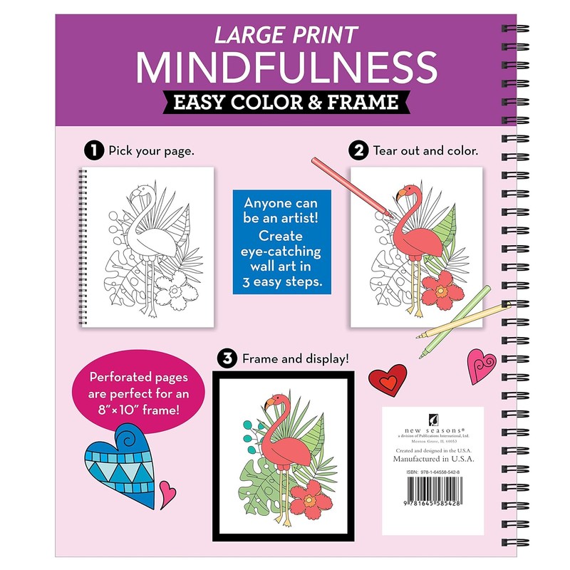 Large Print Easy Color & Frame - Mindfulness (Stress Free