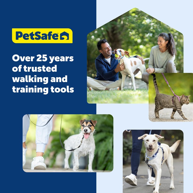 PetSafe Nylon Leash - Strong Nylon for Everyday Walks -