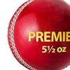 DSC Premier Leather Cricket Ball (Red)| Water Proofed Leather Ball