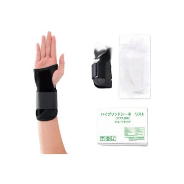 ハイブリッドシーネ リスト