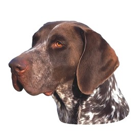 2pcs German Shorthaired Pointer Vinyl Car Decal 5.51"x4.72", Hunting Dog Sticker for Vehicles, Window, Bumper, Laptop, Waterproof & Durable Car Decal Sticker |#DK193