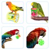 6PCS Bird Roller Rattles, Parrot Foot Toys, Foraging Chewing Bell