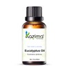 KAZIMA Eucalyptus Essential Oil - 100% Pure Natural & Undiluted