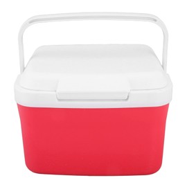 Cooler Bag, 2 in 1 Warmer 5L Personal Portable Insulated Hard Leakproof Lunch Cooler, Camping Cooler with 5 Ice Bags for Beverage, fruit, Travel, Hiking, Barbecue, Fishing, Picnic, Kayaking, Road Trip