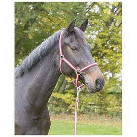 Kerbl Unisex's Hippo Head Collar-Red, Size 0