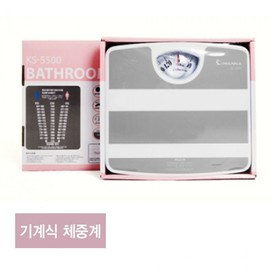 IW Mechanical Steel Scale KS5500 Gray