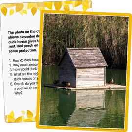 Really Good Stuff Environmental Impact Photo Cards - 25 Cards