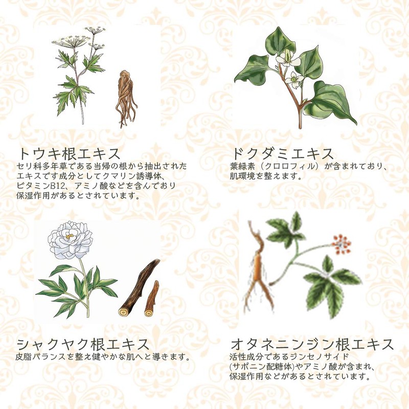 Antimem Feminine Wash Scented 120ml