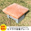Himalayan Salt Plate BBQ Salt Plate 4.7 x 4.7 x