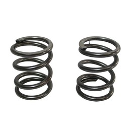 ARC Racing (2) Pack of 26Lb Valve Springs, White