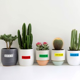 Exsun 6 Pack Compatible Tze 9mm Tape for Brother TZe-121 TZe-221 TZe-421 TZe-521 TZe-621 TZe-721 Laminated Label Tape with Brother P-Touch PT-H107B PT-H105 PT-H110LB PT-D410 PT-E100 PT-E200