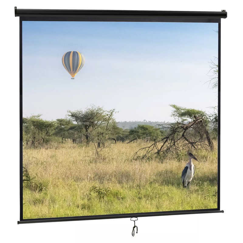 Segawe 120'' Projector Screen Projection Screen Manual Pull Down HD