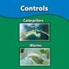 Monterey BT - Bacillus Thuringiensis for Organic Worm and Caterpillar
