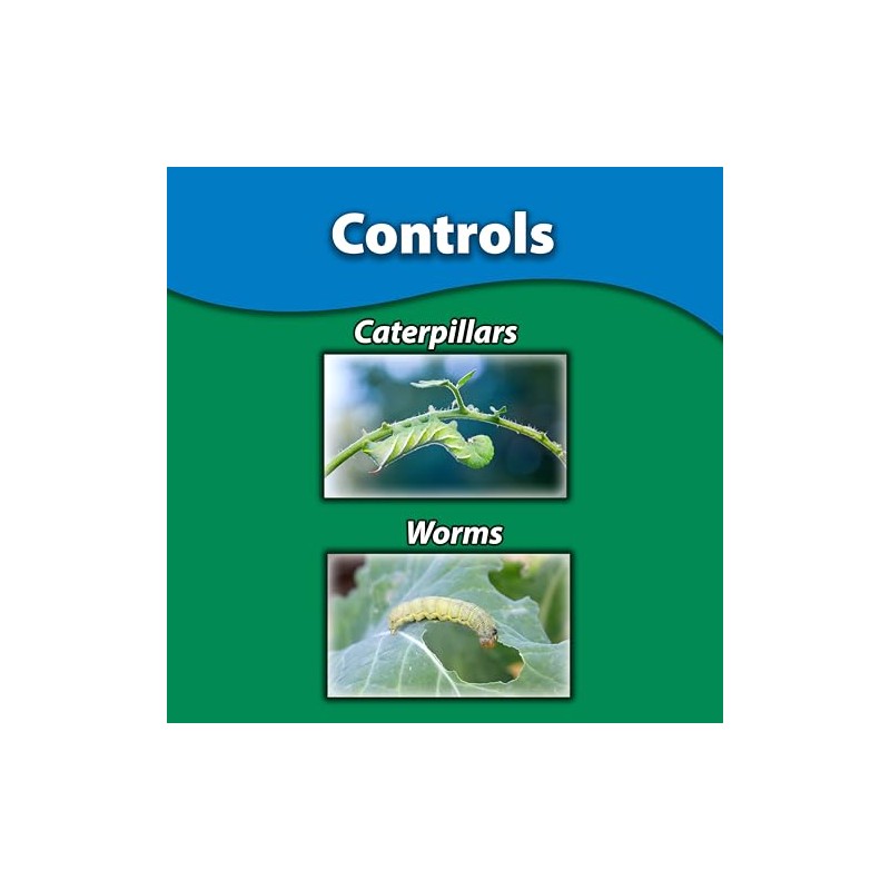 Monterey BT - Bacillus Thuringiensis for Organic Worm and Caterpillar