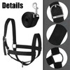 Windyun 2 Pieces Nylon Cow Halter with 2 Pieces Leading