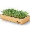 Microgreens Kit Refills with 9 Plant Mats & 9 Types