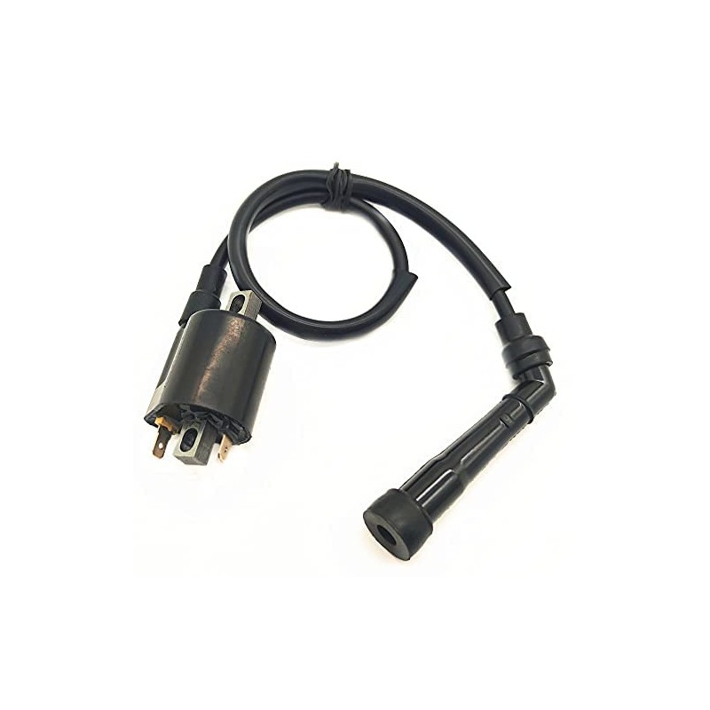 Bobina de encendido para motocicleta Yamaha Grizzly 700 1D7-82310-00-00 1D7-82310-01-00