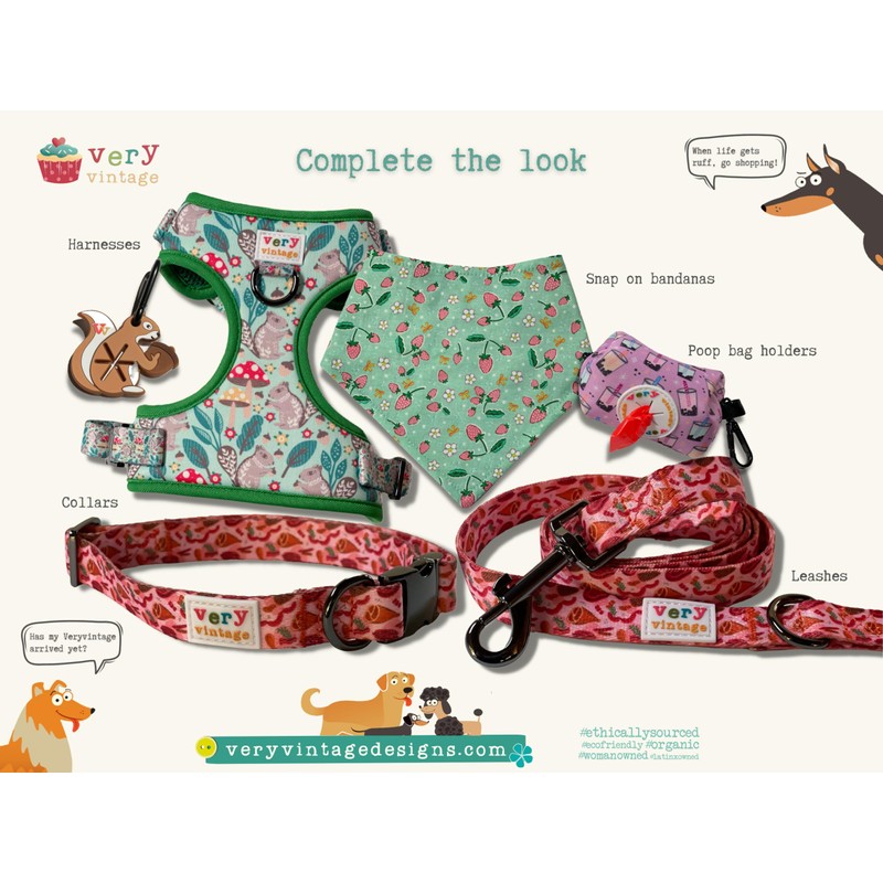 Squirrel Patrol Harness-M