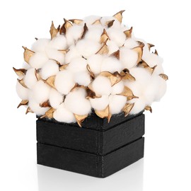 CVHOMEDECO. Cotton Pod with Wooden Vase Real Cotton Pods and Autumn Leaves in Black Wood Box for Home Decor. Idea for Wife, Him or Her, Valentines Day Mother's Day Birthday Warm Gifts.