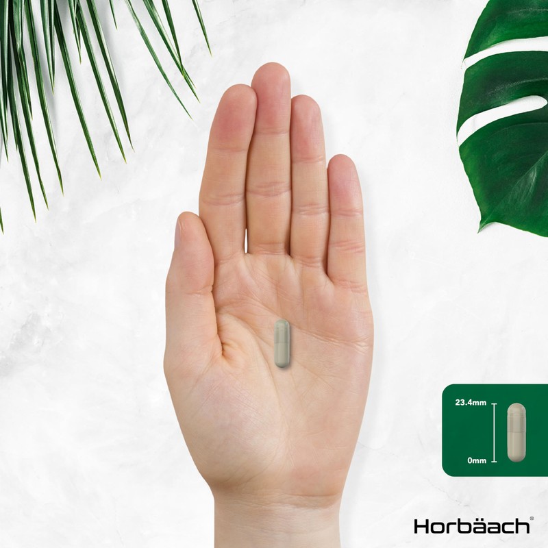 Broccoli Sprout Extract | Activated Sulforaphane Supplement | 2400mg Capsules