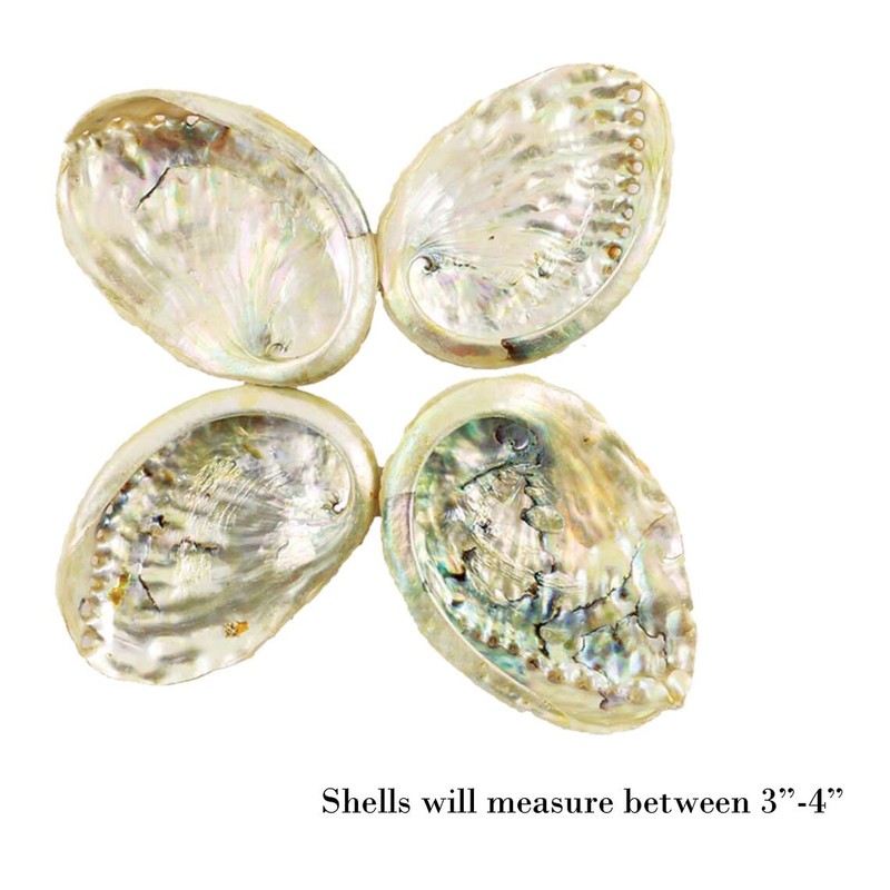 SOUL STICKS Beginners Mini Smudge Kit Includes White Sage 3-4