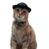 Large Black Bowler Hat for Cats – Costume Accessory with