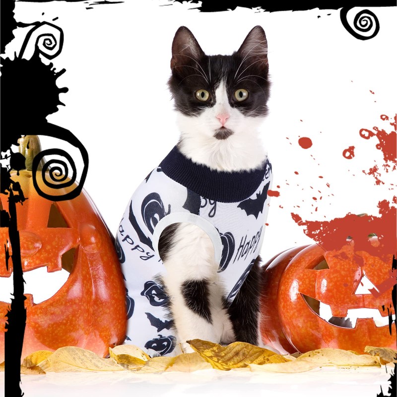 Xuniea 4-Piece Halloween Cat Surgery Recovery Suit - Wound Surgical