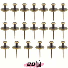 Dubxon Double Head Large Push Pins Metal Wall Pins, Push Pins, Set of 20, Small and Lightweight, Suitable for Various Wall Decor (Retro Color)