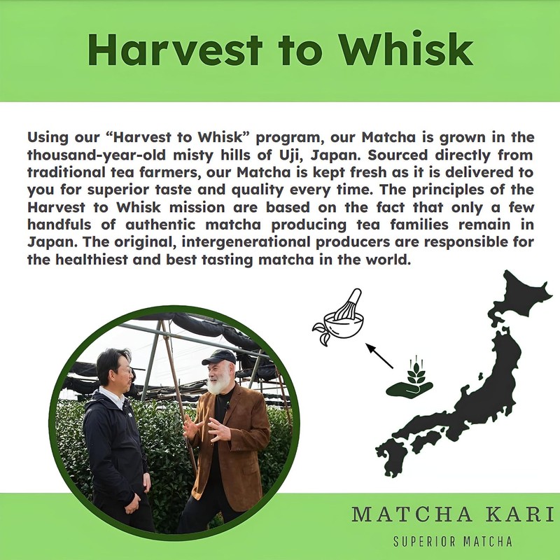 Dr. Weil Matcha Kari Mini juego de té Matcha Negro