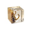 1.5" Real Golden Scorpion Cube Desk Decoration