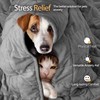 LaSyL Weighted Blanket for Pets | Thunder Blanket for Dogs