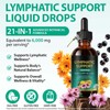 Lymphatic Drainage Drops 60 ml | 6000 mg Extract with