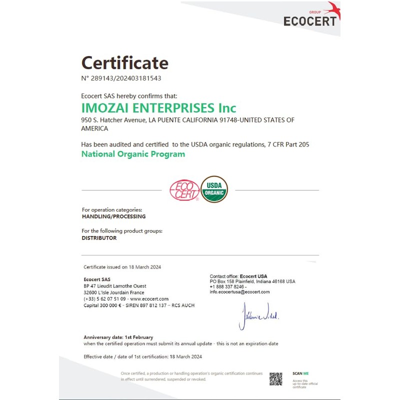 Imozai Organic Green Tea Bags 100 Count Individually Wrapped