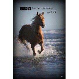 Freedom Horse running on beach refrigerator magnet Made in USA